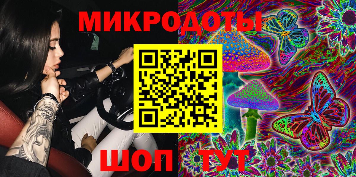 Галлюциногенные грибы Psilocybe Казань